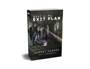 What is My Exit Plan : Book 3